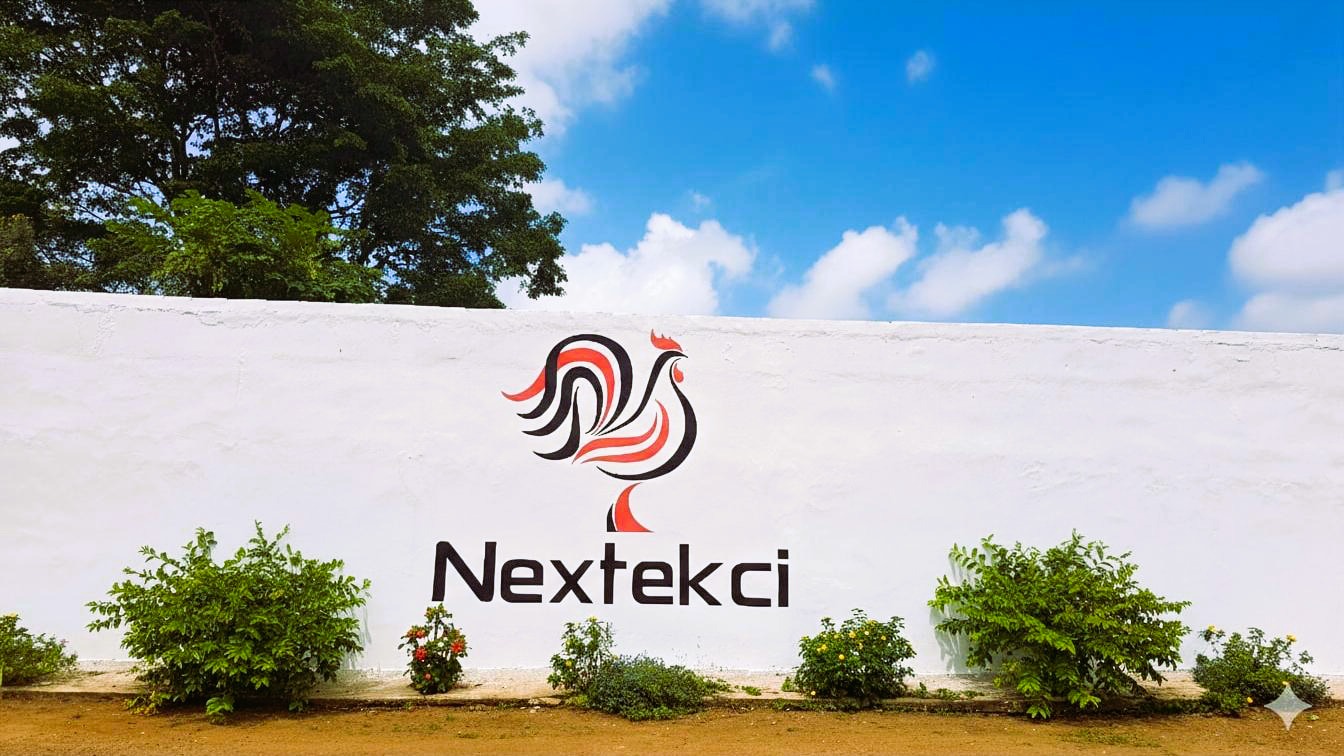 Histoire Nextekci - Tradition et innovation